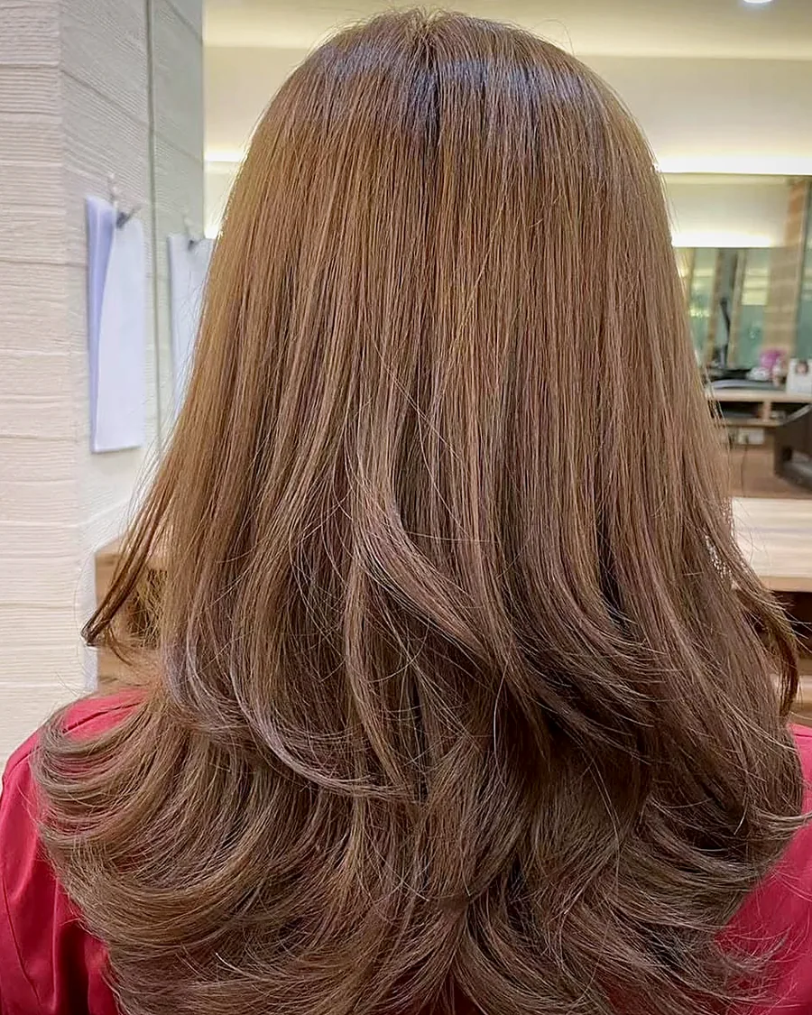 Long brown hair before cutting, sitting heavy and flat at the ends